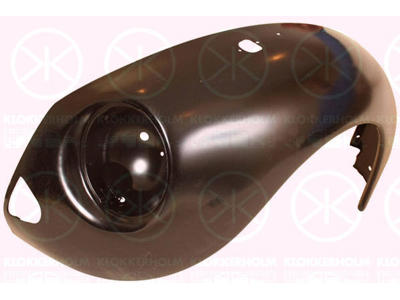 Wing, Left Front