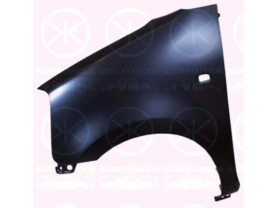 Wing, Right Front, with hole for direction indicator