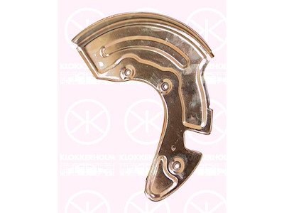 Splash Guard, brake disc, Front Axle Right, Diameter 1/Diameter 2 [mm]: 300/112, for brake disc diameter [mm]: 280, for brake disc diameter [mm]: 288, Zinc-coated