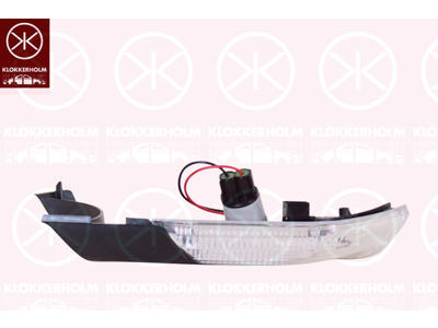 Direction Indicator, Left, Exterior Mirror, with reading light, LED, Article number of recommended accessories: 1Z0949101DD