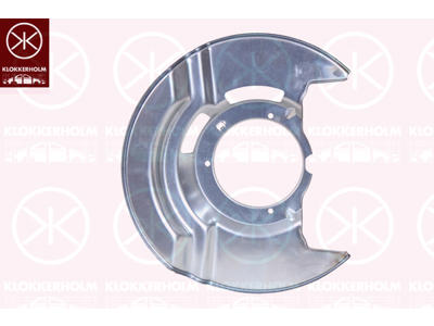 Splash Guard, brake disc, Front Axle Right, for brake disc diameter [mm]: 293, Zinc-coated