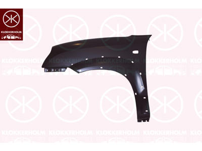 Spatbord, Rechts voor, met gaten voor sier-/stootlijst, Met gat voor knipperlampen