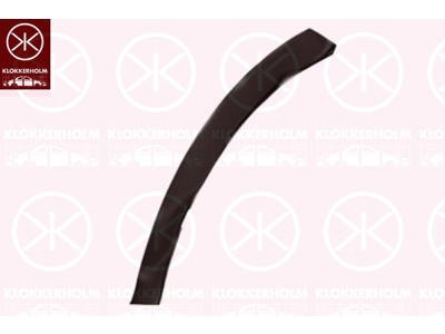 Trim/Protection Strip, bumper, Left Front, black