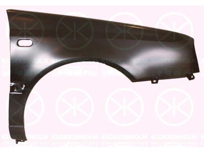 Wing, Right Front, with hole for direction indicator