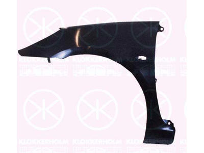 Wing, Plastic, Left Front, with hole for direction indicator