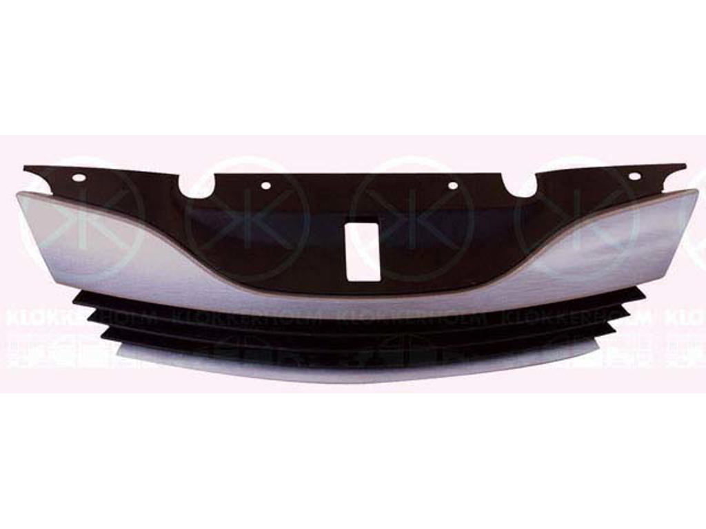Radiator Grille