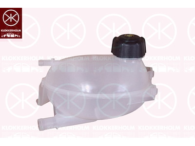 Expansion Tank, coolant, with lid
