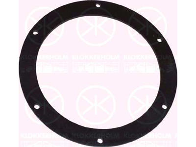 Seal, fuel sender unit, Ø105mm, Number of bores: 6