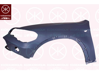 Wing, Left Front, with hole for direction indicator