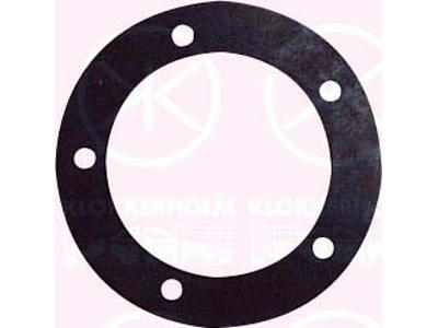 Seal, fuel sender unit, Ø51mm, Number of bores: 5